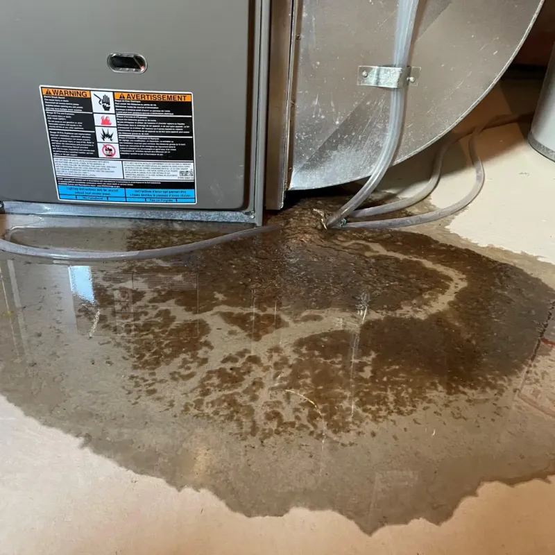 Appliance Leak Cleanup in Alturas, CA