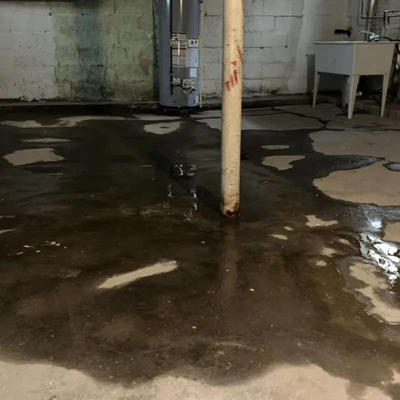 Emergency Water Extraction And Removal in Alturas, CA